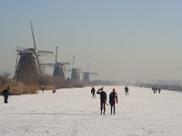 NL, Zuid-Holland, Alblasserdam, Kinderdijk 6, Saxifraga-Jan C van der Straaten