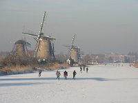 NL, Zuid-Holland, Alblasserdam, Kinderdijk 9, Saxifraga-Jan C van der Straaten