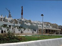 E, Huelva, Almonte, Matelascanas 25, Saxifraga-Jan van der Straaten