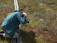 S, Jonkoping lan, Varnamo, Lovo 39, Saxifraga-Marijke Verhagen