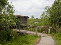 Entrance to bird observation hut; National Park De Groote Peel, Nederweert, Limburg, Netherlands  Entrance to bird observation hut; National Park De Groote Peel, Nederweert, Limburg, Netherlands : National park De Groote Peel, national park, np, Groote Peel, Nederweert, Limburg, Netherlands, Dutch, Europe, european, landscape, rural landscape, rural scene, non-urban scene, non-urban landscape, rural, nature reserve, protected area, Natura 2000, de Pelen, nature, natural, nobody no people, spring, springtime, hut, cabin, bird observation, observation, wood, wooden, bridge