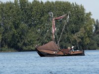 NL, Noord-Brabant, Drimmelen, Zuidergat van de Visschen 5, Saxifraga-Willem van Kruijsbergen