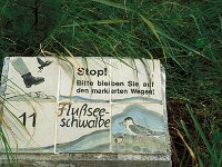 A, Burgenland, Apetlon, NP Neusiedler See-Seewinkel 3, Saxifraga-Jan van der Straaten