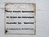A, Burgenland, Apetlon, NP Neusiedler See-Seewinkel 5, Saxifraga-Jan van der Straaten