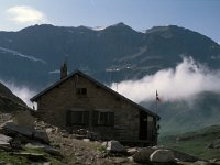 I, Valle d'Aosta, Valsavarenche, Rifugio Citta di Chivasso 1, Saxifraga-Jan van der Straaten