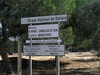 E, Huelva, Almonte, Matelascanas 33, Saxifraga-Jan van der Straaten