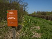 NL, Noord-Brabant, Altena, Kornsche Boezem 20, Saxifraga-Marijke Verhagen