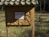 NL, Noord-Brabant, Oirschot, Heerenbeek 25, Saxifraga-Jan van der Straaten