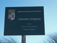 NL, Zuid-Holland, Goeree-Overflakkee, Ouddorp 7, Saxifraga-Jan van der Straaten