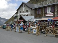 I, Trentino-Sued Tirol, Stelvio National Park, Passo dello Stelvio 4, Saxifraga-Jan van der Straaten