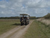 NL, Noord-Holland, Texel, De Muy 35, Saxifraga-Willem van Kruijsbergen