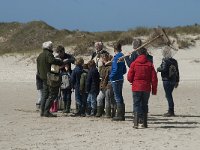 NL, Noord-Holland, Texel, De Slufter 78, Saxifraga-Willem van Kruijsbergen