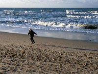 NL, Zeeland, Veere, Domburg 1, Saxifraga-Jan van der Straaten