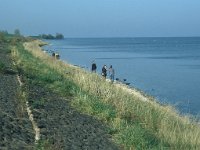 NL, Zuid-Holland, Goeree-Overflakkee, Grevelingen 3, Saxifraga-Jan van der Straaten