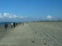 NL, Zuid-Holland, Goeree-Overflakkee, Ouddorp 2, Saxifraga-Jan van der Straaten