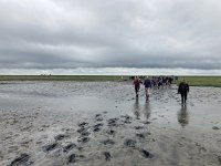 NL, Groningen, Het Hogeland, Pieterburen 78, Saxifraga-Willem van Kruijsbergen