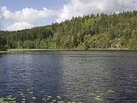 Noors meer met gezonken roeiboot  Norwegian lake with sunken wooden rowing boat, Halden, Norway : color, colour, Europe European, Halden, lake, mountain, nature natural, Norway, rowing boat, rural landscape, Scandinavia Scandinavian, ship, sink sunken, summer, vertical, water, wooden vessel