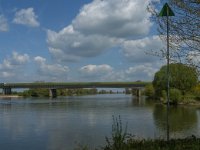 NL, Noord-Brabant, 's-Hertogenbosch, Empelse Waard 11, Saxifraga-Marijke Verhagen