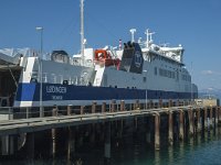 N, Nordland, Tysfjord, Skarberget 2, Saxifraga-Marijke Verhagen