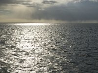 NL, Friesland, Harlingen, Waddenzee 9, Saxifraga-Jan van der Straaten