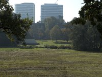 NL, Gelderland, Arnhem, Sonsbeek 17, Saxifraga-Jan van der Straaten