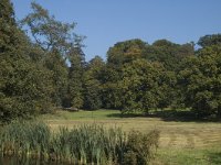 NL, Gelderland, Arnhem, Sonsbeek 6, Saxifraga-Marijke Verhagen