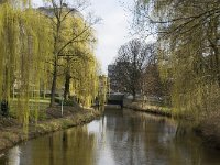 NL, Noord-Brabant, Eindhoven, Paradijslaan 2, Saxifraga-Marijke Verhagen