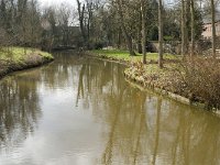 NL, Noord-Brabant, Eindhoven, Rapelenburg 2, Saxifraga-Jan van der Straaten