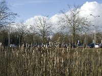 NL, Noord-Brabant, Eindhoven, Tongelreep near skating rink 2, Saxifraga-Jan van der Straaten