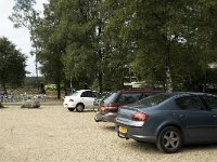 NL, Gelderland, Rheden, Rhedensche Heide, Posbank 3, Saxifraga-Jan van der Straaten