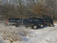 NL, Noord-Brabant, Cranendonck, Groote Heide 9, Saxifraga-Jan van der Straaten