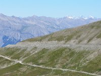 F, Alpes-de-Haute-Provence, Jausiers, Cime de la Bonette 1, Saxifraga-Tom Heijnen