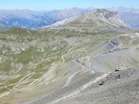 F, Alpes-de-Haute-Provence, Jausiers, Cime de la Bonette 3, Saxifraga-Tom Heijnen