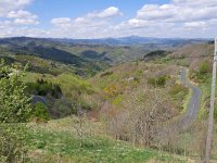 F, Ardeche, Mezilhac, road to Mont Gerbier de Jonc 1, Saxifraga-Tom Heijnen