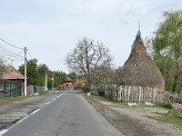 RO, Brasov, Sinca Noua, Sinca Noua 2, Saxifraga-Tom Heijnen