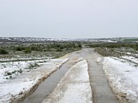 RO, Constanta, Gradina, Cheile Dobrogei 2, Saxifraga-Tom Heijnen