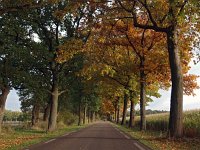 NL, Drenthe, Borger-Odoorn, Exloerweg 1, Saxifraga-Hans Dekker