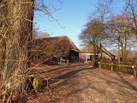 NL, Drenthe, De Wolden, Steenbergen 10, Saxifraga-Hans Dekker