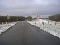 NL, Flevoland, Almere, Oostvaardersplassen 10, Saxifraga-Henk Sierdsema