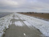 NL, Flevoland, Almere, Oostvaardersplassen 4, Saxifraga-Henk Sierdsema