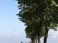 Typical rural landscape of Dutch province Friesland  Typical rural landscape of Dutch province Friesland : sky, outside, outdoor, landscape, rural landscape, countryside, rural scene, non-urban scene, land, Friesland, Frylan, Dutch, Holland, Netherlands, Europe, European, no people, nobody, summer, summertime, spring, springtime, ditch, water, farm, farmland, agriculture, agricultural, grass, grassland, meadow, plain, room, blue, horizon, horizon over land, road, street, tree, trees