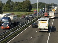 NL, Noord-Brabant, Oirschot, A 58 2, Saxifraga-Jan van der Straaten