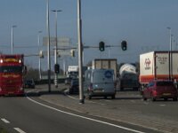 NL, Noord-Brabant, Tilburg, N 262-2, Saxifraga-Jan van der Straaten