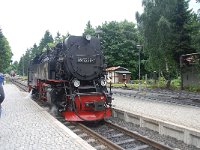 D, Sachsen-Anhalt, Wernigerode, Brocken 12, Saxifraga-Luuk Vermeer