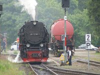 D, Sachsen-Anhalt, Wernigerode, Brocken 13, Saxifraga-Luuk Vermeer