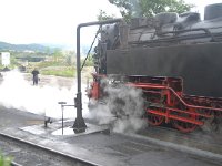 D, Sachsen-Anhalt, Wernigerode, Brocken 15, Saxifraga-Luuk Vermeer