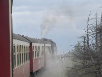 D, Sachsen-Anhalt, Wernigerode, Brocken 8, Saxifraga-Luuk Vermeer