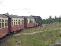 D, Sachsen-Anhalt, Wernigerode, Brocken 9, Saxifraga-Luuk Vermeer