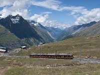 CH, Wallis, Zermatt, Gornergrat 14, Saxifraga-Luuk Vermeer