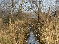 B, Limburg, Lommel, Rietreienloop 5, Saxifraga-Jan van der Straaten